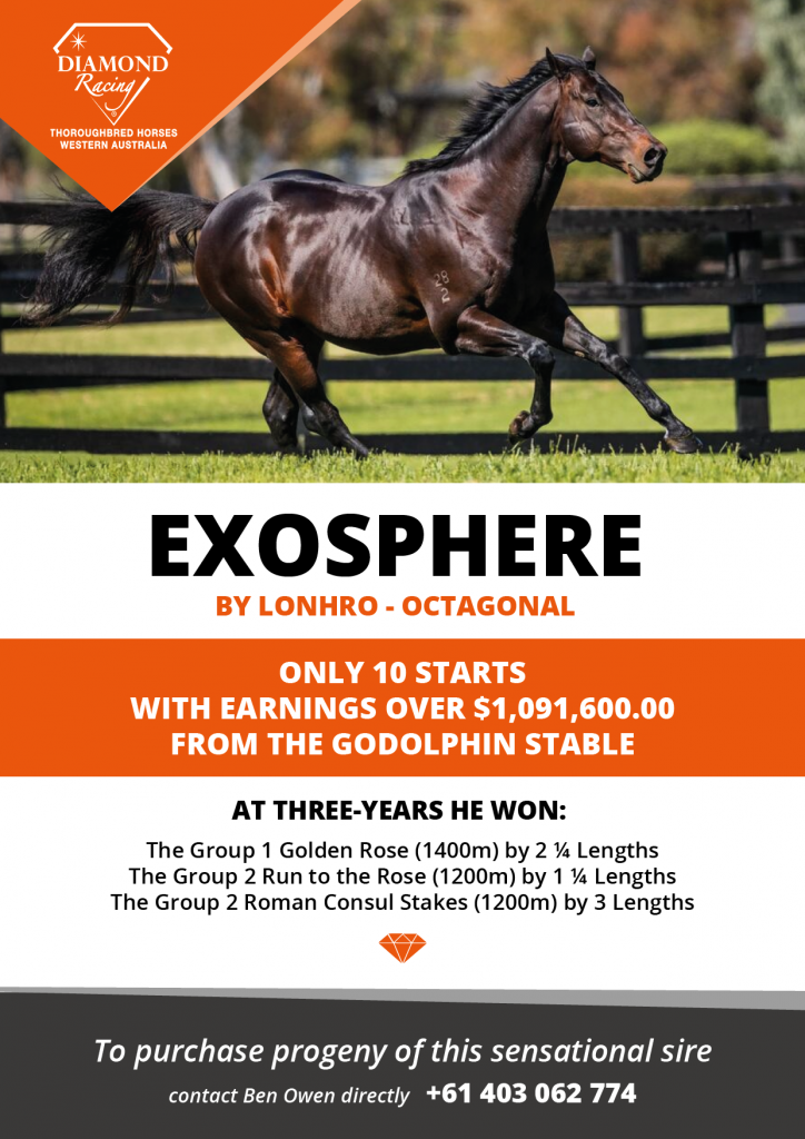 J-2211-7225-DIA - New Arrivals Flyers_v3_1_exosphere