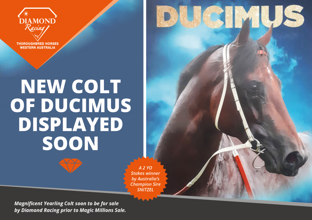 J-2211-7225-DIA - New Arrivals Flyers_v3_3_ducimos colt_double_page