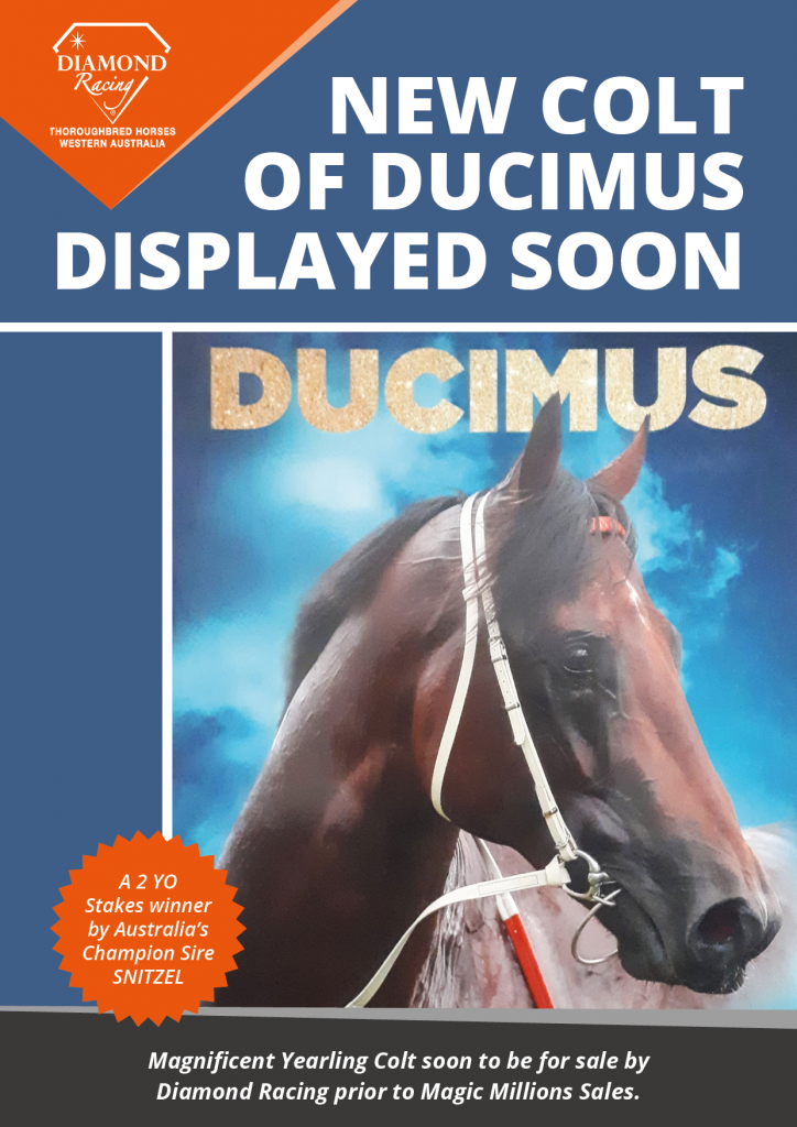 J-2211-7225-DIA - New Arrivals Flyers_v3_3_ducimos colt_single_page