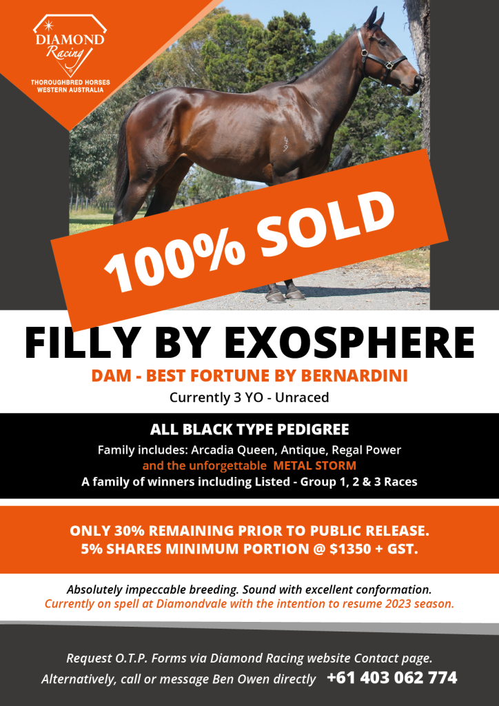 J-2301-7262-DIA - New Arrival Flyer Update Sold_v2